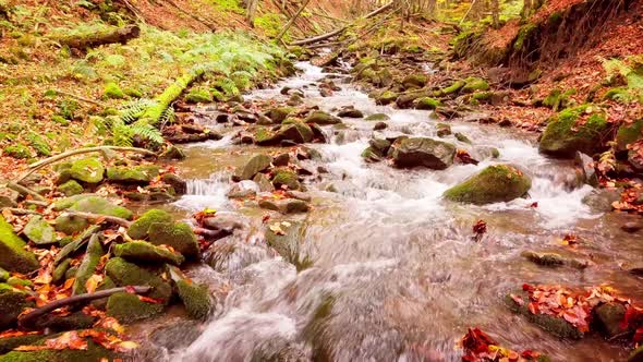 Footage of Wonderful Mountain Stream in the Shypit Karpat National Park