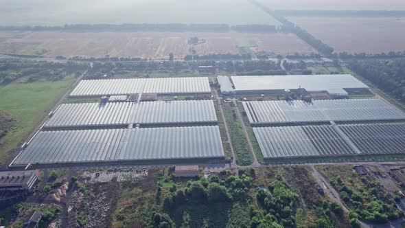 Aerial Drone View of Huge Areas Greenhouse for Growing Vegetables
