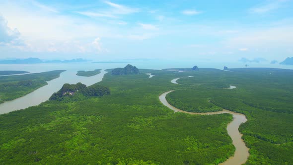 Drones are flying over winding rivers and large mangrove forests