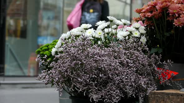 City Life  - Street People and Kiosk Flowers