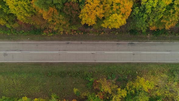 Aerial Video of Autumn Forest and Road