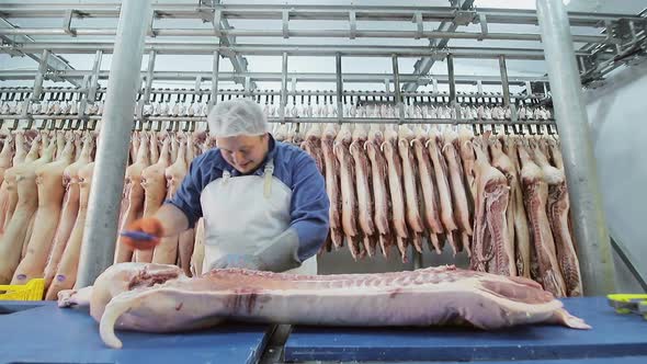 Worker Using an Electric Saw, Cuts Pieces of Pork Meat. Deboning of Pig Meat