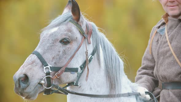 A Military Man Riding on the Horseback a White Beautiful Horse