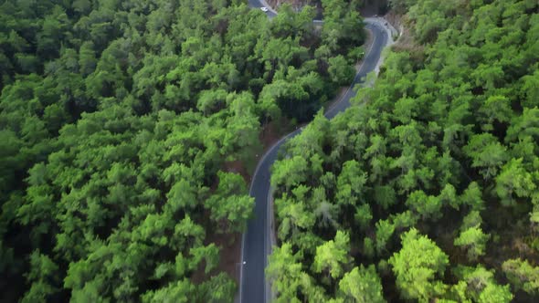 Aerial Top Drone Shot Above the Mountain Road Between the Trees and Moving Transport on It