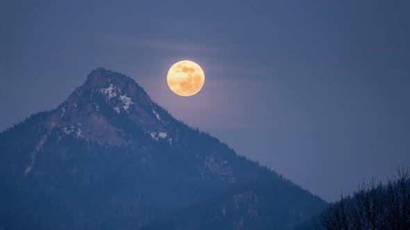 Full Moon over Forest Mountains