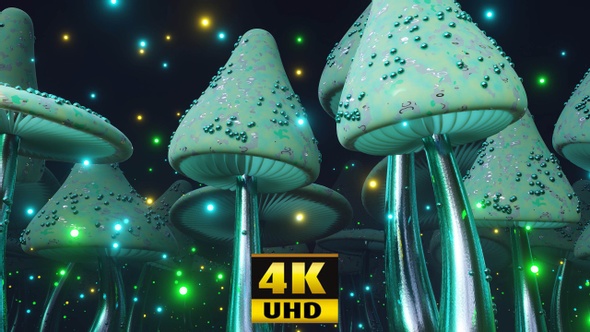 Mushroom Fairy Tale 4K