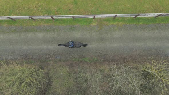 A Horse Rider on a Hack On A Path Bird's Eye View