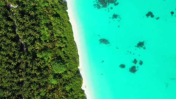 Concept design of beautiful seascape seen from high divided by white beach on two parts of palm tree