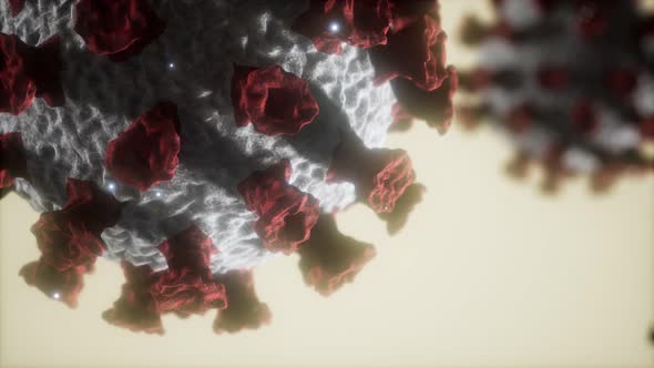 Coronavirus COVID-19 Medical Model alt
