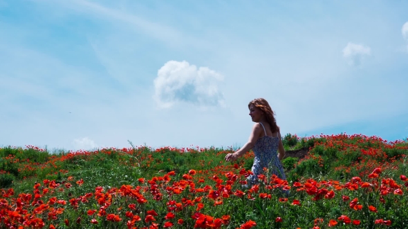 Woman In Poppy Field