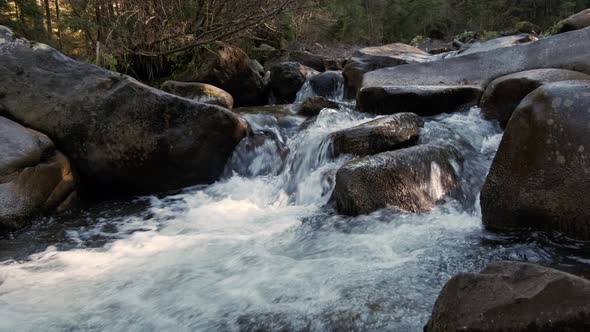 Small Mountain Stream in the Mountains of Ukraine