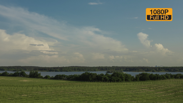 Field With Young Apple Trees By The River