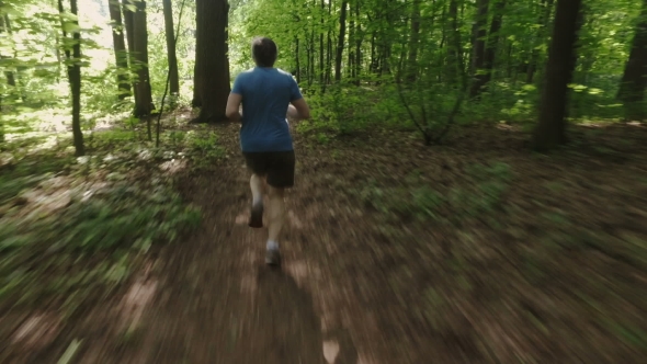 Adult Man Running Jogging Outdoors In a Forest Nature On a Forest Trail And Enjoying It