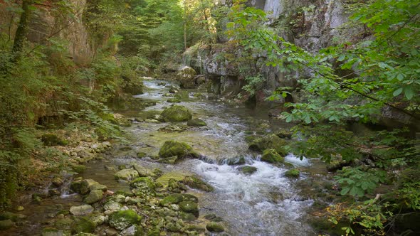 Deep Forest Beautiful Nature 4K Background. Water Stream Flowing among Mossy Rocks.Static.