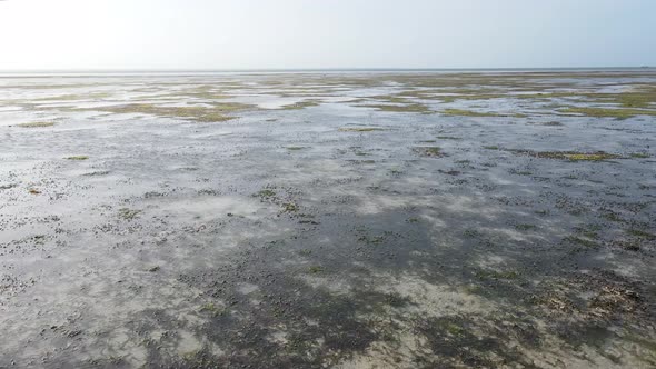 Zanzibar Tanzania  Low Tide in the Ocean Near the Shore