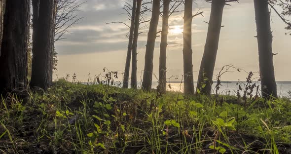 Wild Forest Lake Timelapse at the Summer Time