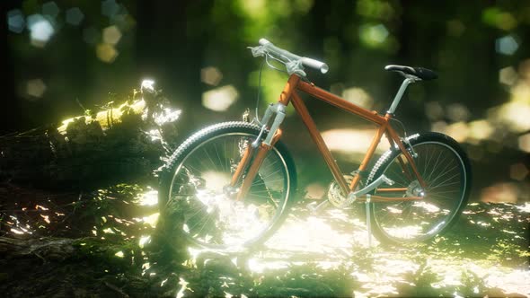Mountain Bike on the Forest Path alt