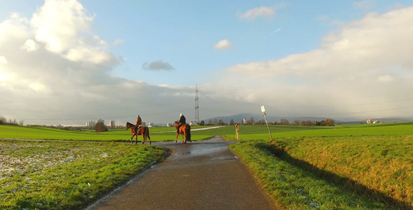 Riding Horse in Green Field and Sunny Dreamy Cloudy Day 2