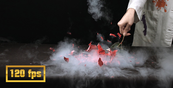 Liquid Nitrogen Freezes Flower alt