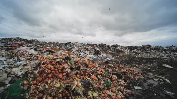 Garbage Landfill Near a Big City