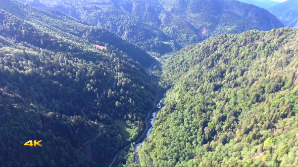 Aerial Long Valley Covered with Forests