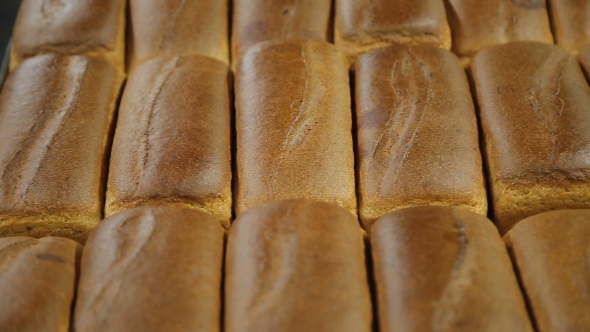 Loaf Of Rye Bread 
