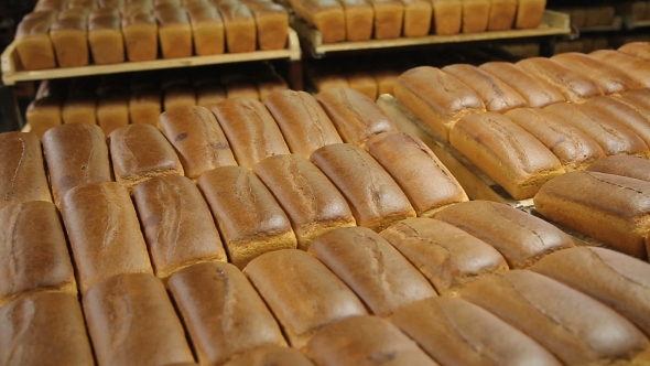 Rye Bread On a Tray In a Bakery