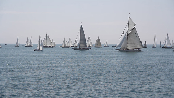 Sail Boats