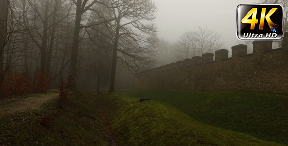 Old Historical Ancient Castle Walls and Forest in Misty Foggy Day 5