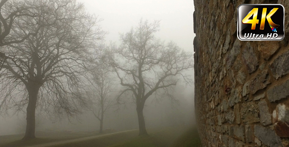 Old Historical Ancient Castle Walls and Forest in Misty Foggy Day 9