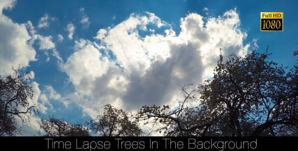 Fast Clouds On A Background Of Trees