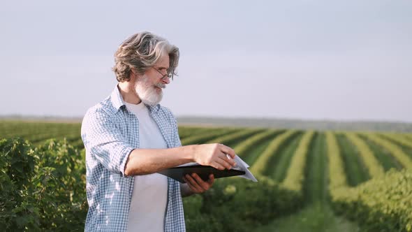 Mature Confident an with Notebook Going Through a Field of Sunflowers