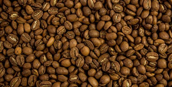 Coffee Beans Rotating Background