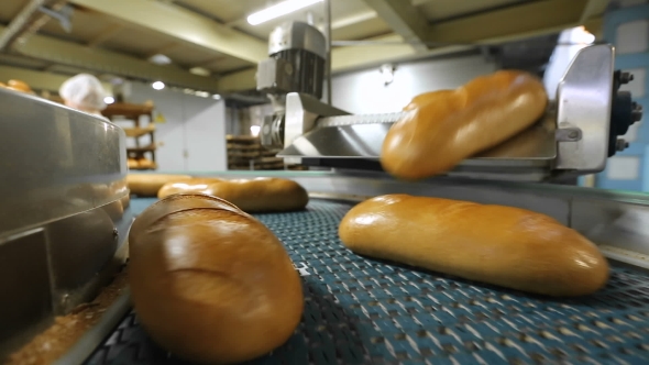 Fresh Bread On The Conveyor