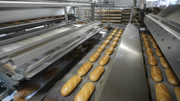 Production Of Bread In Factory