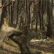 Ghostly Forest - VideoHive Item for Sale