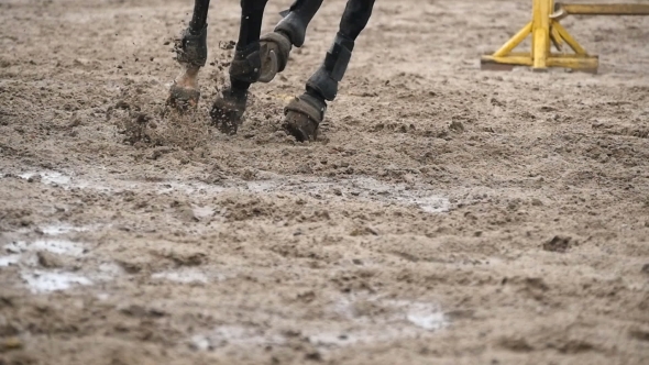 Feet of Horse Running on Mud