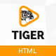 Tiger - Corporate Social Network Template - ThemeForest Item for Sale