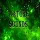 Beach Ambience with Waves and Animals