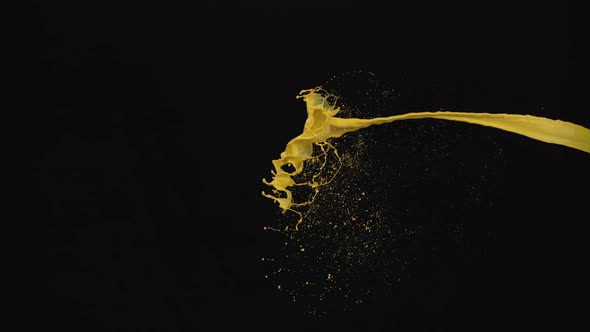 Paint splash in midair against black background. Slow Motion. Unedited version included.