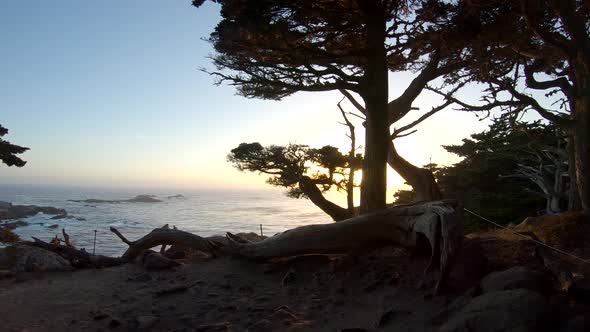 Beautiful sunset at Point Lobos State Natural Reserve, California, USA