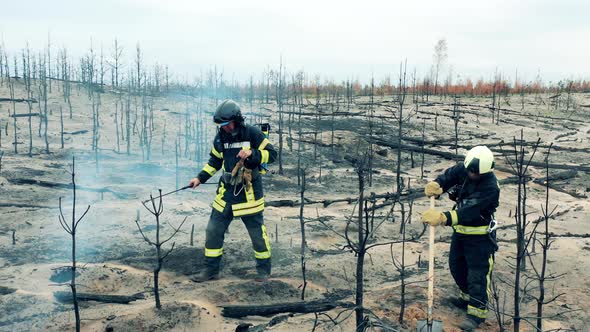 Firefighters are Handling Smoldering Forest Fire