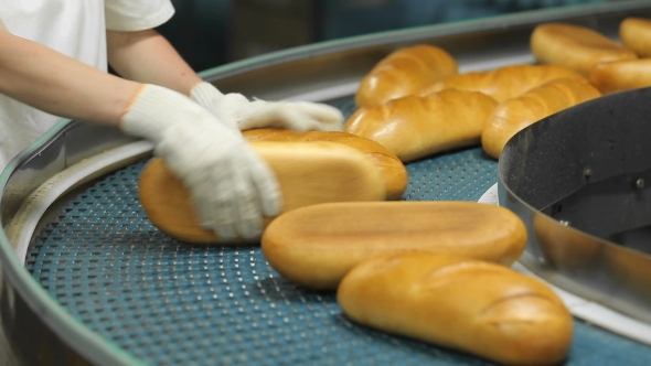Bread Factory Production