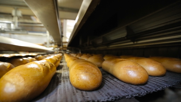 Production Of Bread