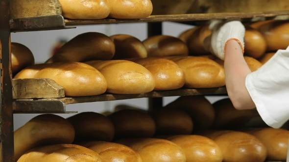 Bread On The Trays At The Bakery