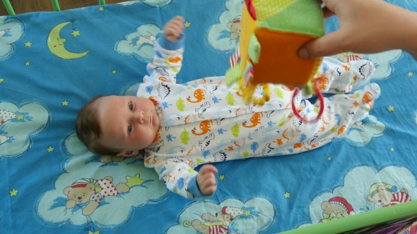 Infant Boy Playing With Colorful Toy