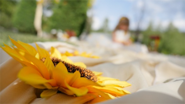 Sunflower In Nature