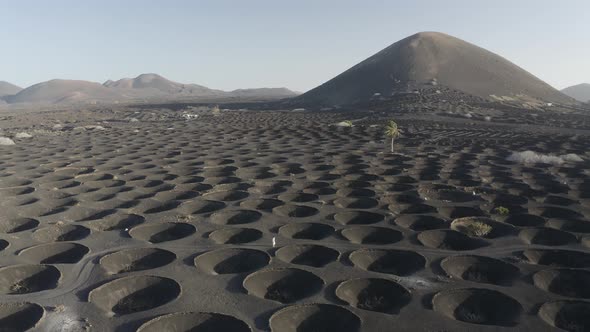 Aerial view of La Geria, Lanzarote Island, Canary Islands, Spain.