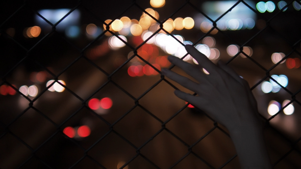 Hand Touching With Fence