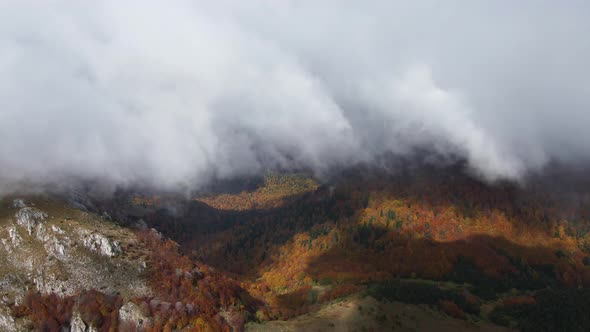 Clouds Above Autumn Forest